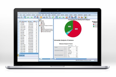 SPSS Statistics