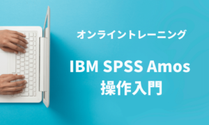 専用　SPSS 14.0 and Amos 6.0　
ソフトウェアパッケージ